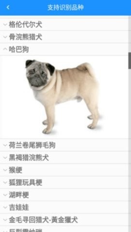 形色识物app安卓版下载