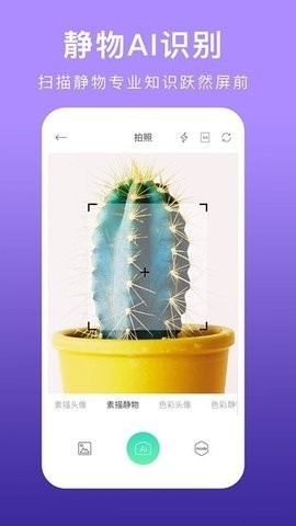 美术拍拍照安卓版
