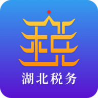 武汉市税务局官方版