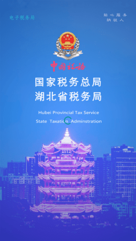 武汉市税务局官方版