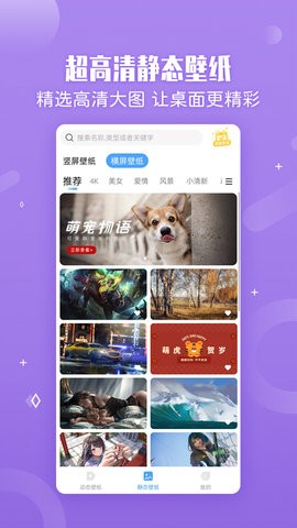 小鸟壁纸app下载