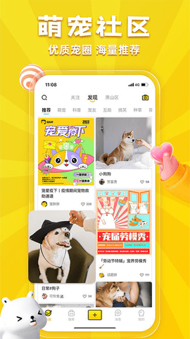 宠胖胖下载安装