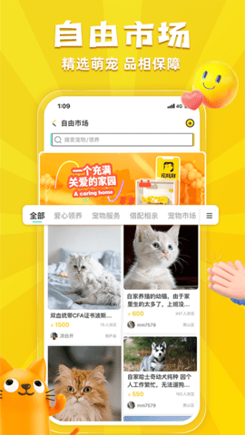 宠胖胖下载安装