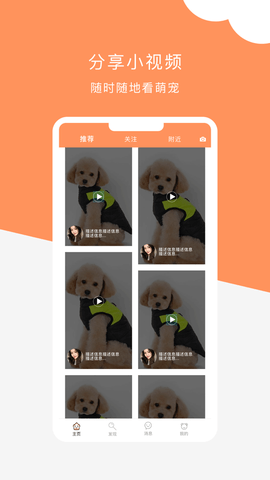 栖宠app下载