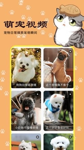 橙猫app下载