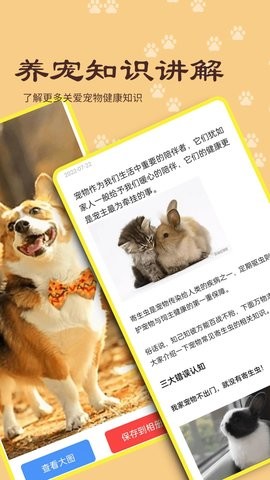 橙猫app下载