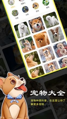 橙猫app下载