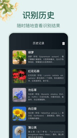 小园丁app最新版