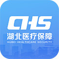 湖北智慧医保app2025手机版