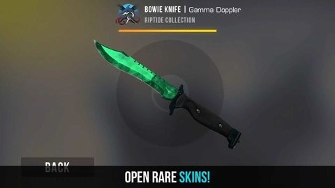 csgo皮肤开箱模拟器下载安装最新版