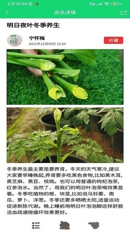 家庭桃源app最新官方版