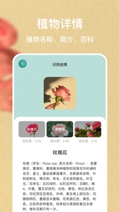识别花下载