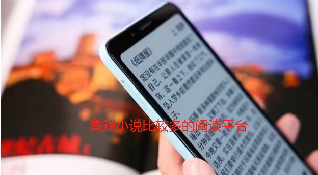 高辣小说比较多的阅读平台