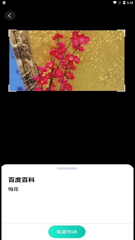 趣萌识别app拍照识物安卓版下载