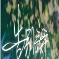 告别诗那年十八安卓版