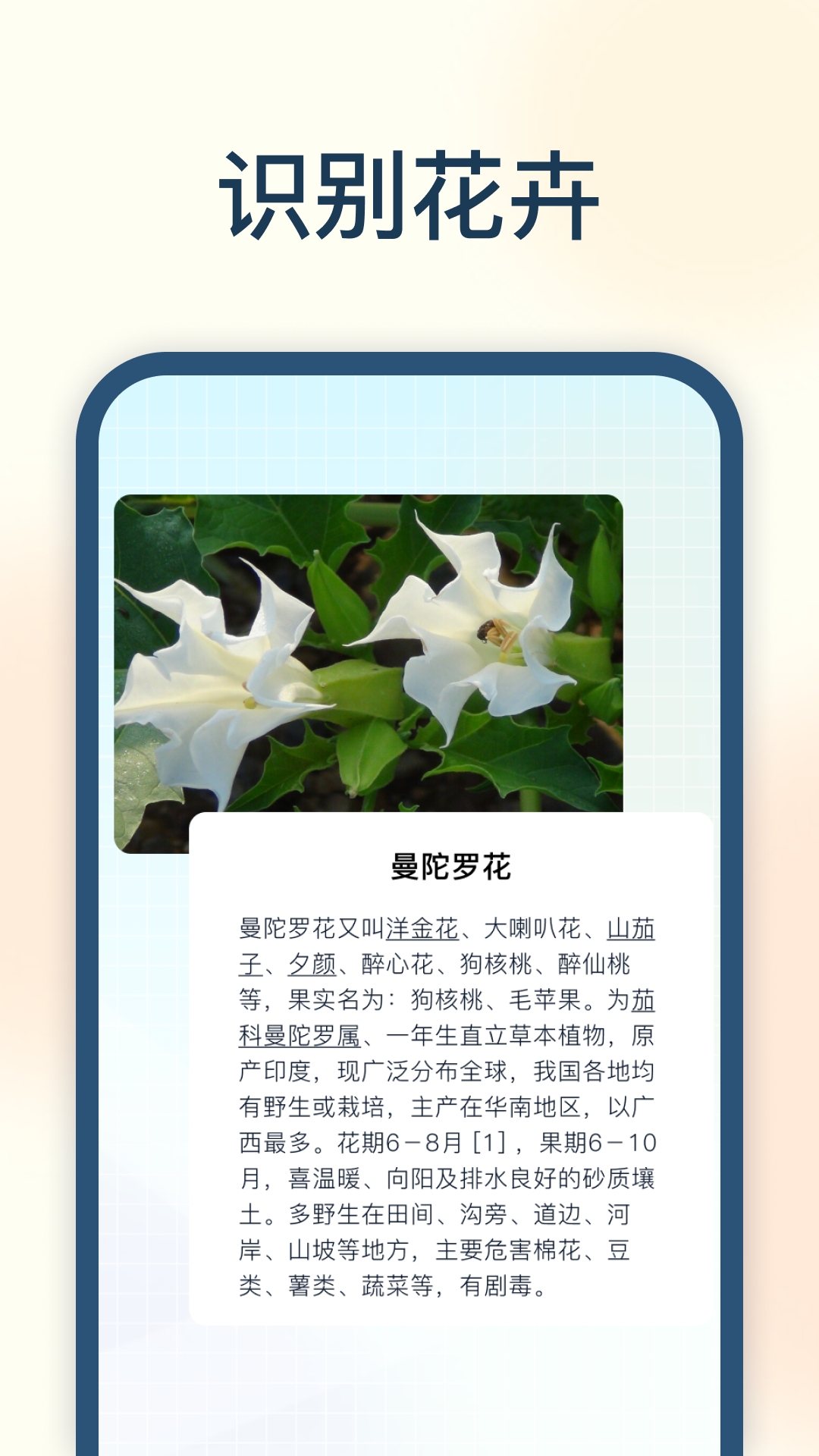 试卷星app官方版下载