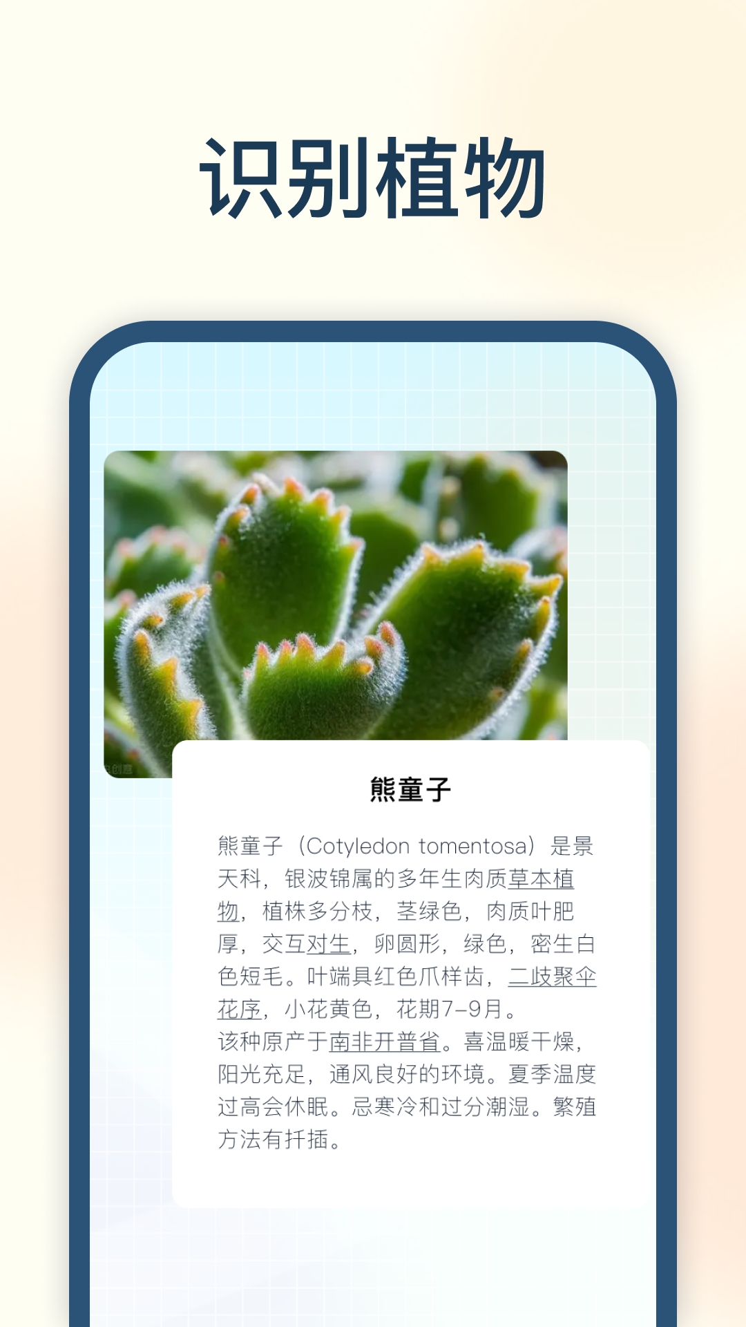 试卷星app官方版下载