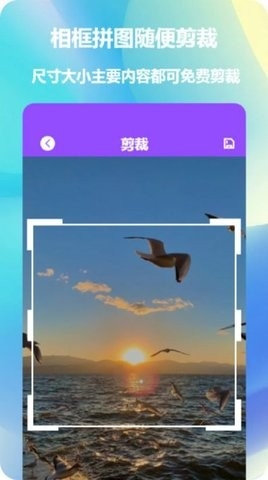 照片拼图神器app最新版下载