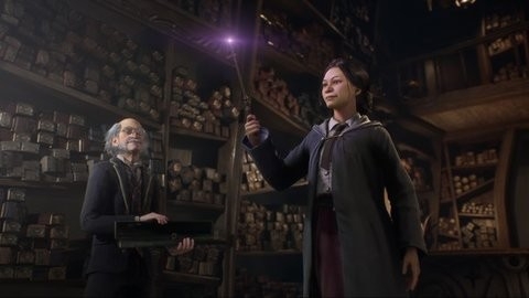 霍格沃茨之遗风灵月影版