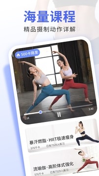 每日瑜伽app下载
