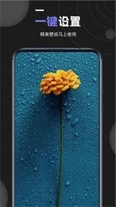 我的壁纸app2023下载