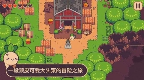 大头菜历险记游戏下载