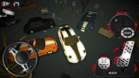真实泊车5手机版