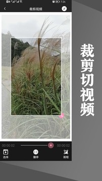 水印王app最新官方版下载