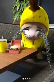 香蕉猫大作战官方版下载