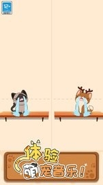 萌猫爱音乐安卓版下载
