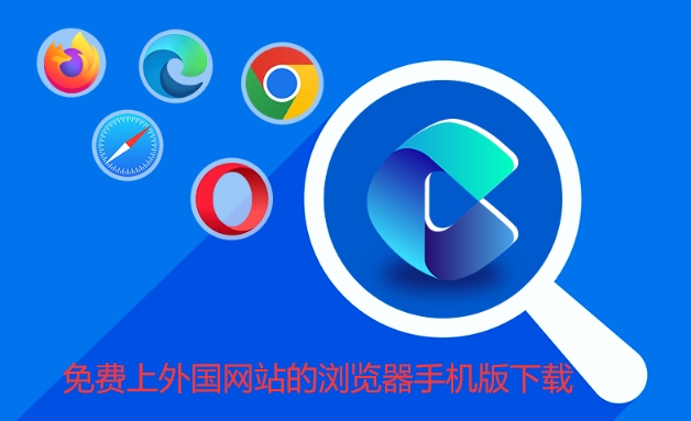 免费上外国网站的浏览器手机版下载