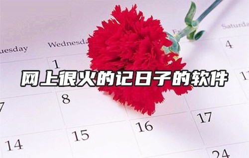网上很火的记日子的软件
