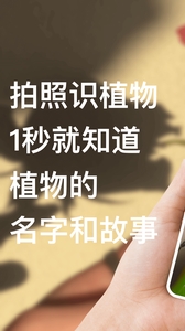 识别花下载