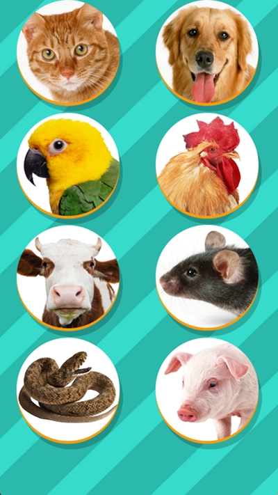 Pet Translator宠物对话翻译器app