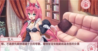 猫咪女游戏