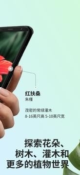 PictureThis植物识别app