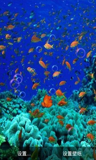 海底动态壁纸app免费下载