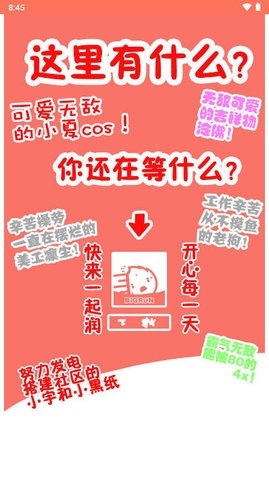 bigrun论坛安卓版