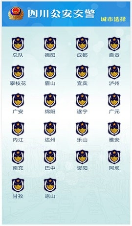 四川公安交警公共服务平台官方版