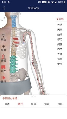 三维模型体谱正版下载
