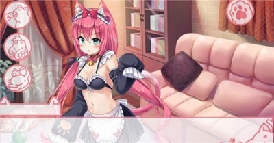 猫咪女游戏