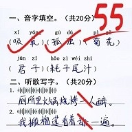 同学写作业官方版下载