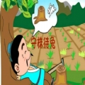 古诗词全回学习app安卓版下载