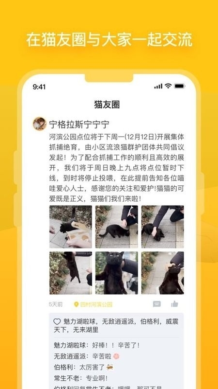 哈啰街猫免费版下载