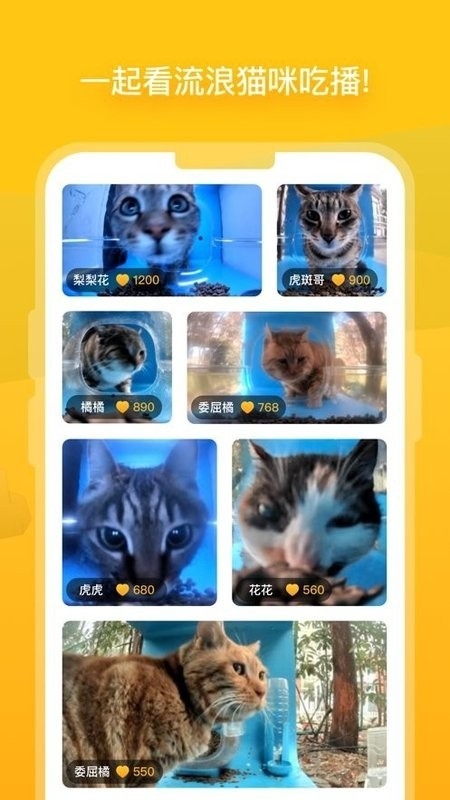 哈啰街猫免费版下载