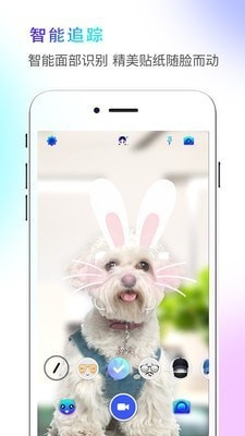 faceme脸酷app免费下载安装