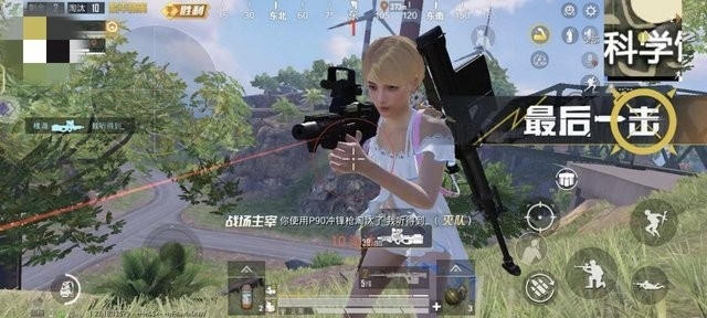 和平精英火锅直装免费版下载
