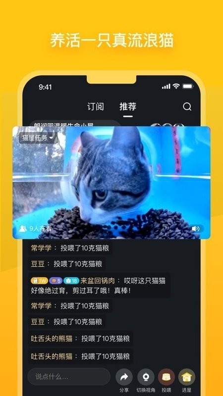 哈啰街猫免费版下载