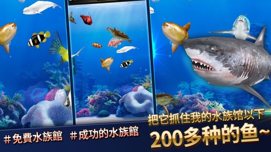 钓鱼竞技者最新版下载