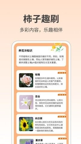 柿子趣刷app下载